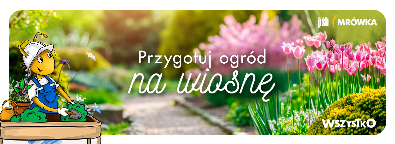 Grupa PSB mrowka Mrówka Nowy Dwór Mazowiecki