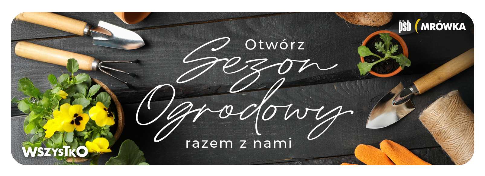 Grupa PSB mrowka Mrówka Nowy Dwór Mazowiecki