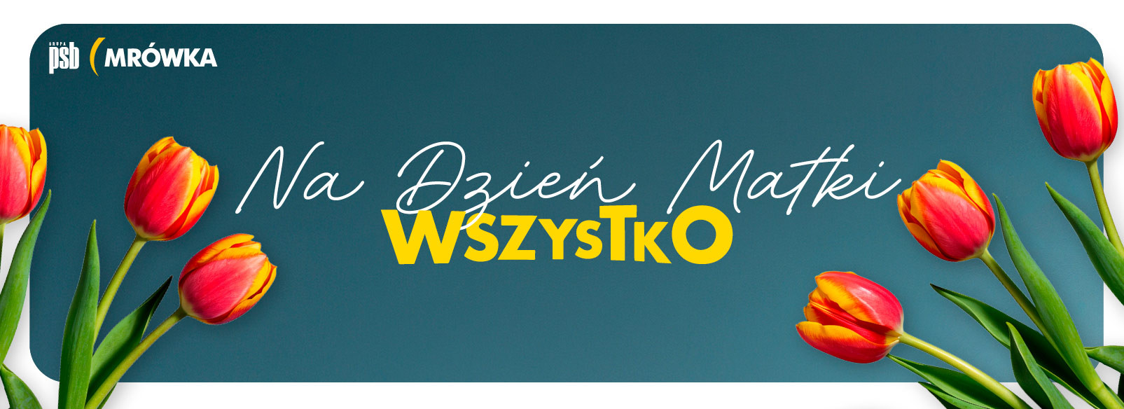 Grupa PSB mrowka Mrówka Nowy Dwór Mazowiecki